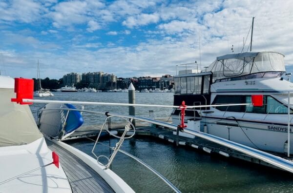 2 meter bird busta on rail