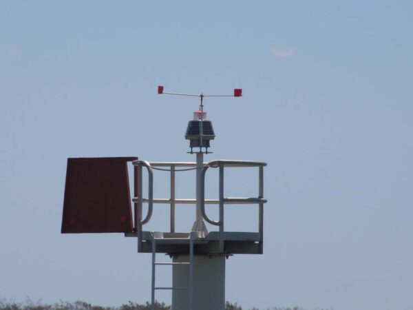 2 METRE BIRD BUSTA - Image 6