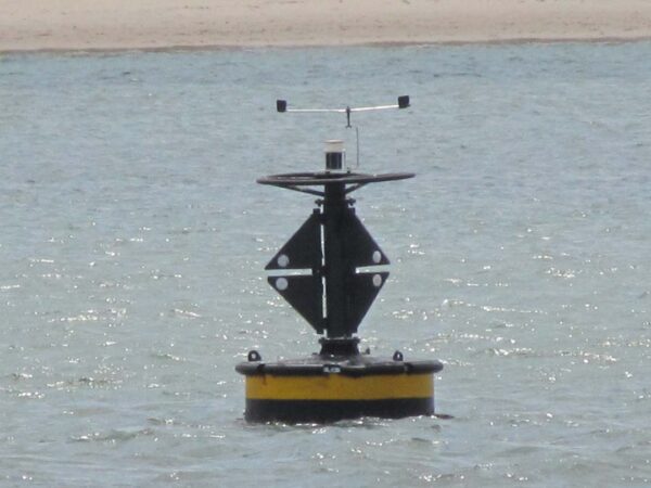 2 METRE BIRD BUSTA - Image 7