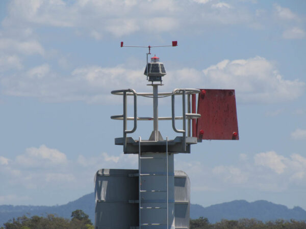 2 METRE BIRD BUSTA - Image 9