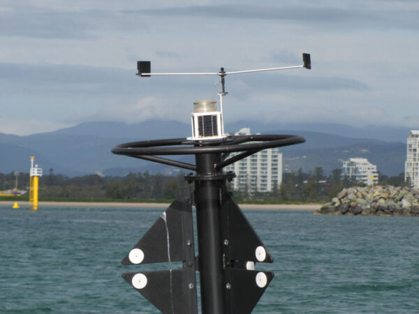 2 METRE BIRD BUSTA - Image 10