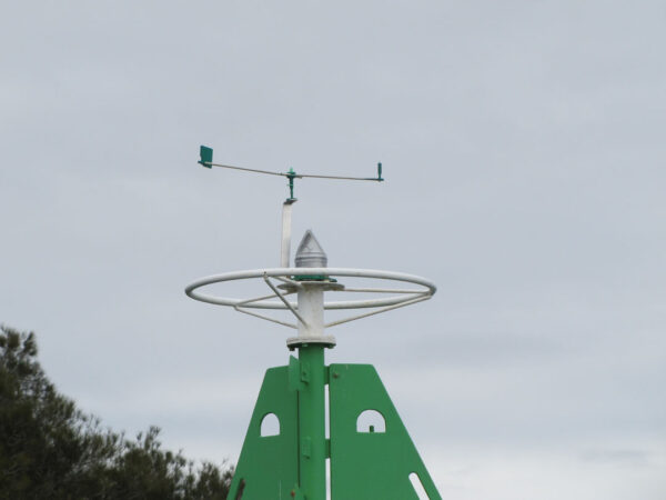 2 METRE BIRD BUSTA - Image 11