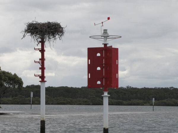 2 METRE BIRD BUSTA - Image 14