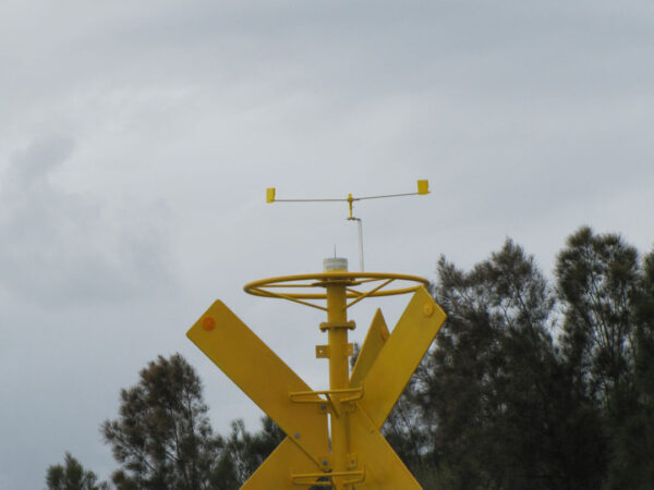 2 METRE BIRD BUSTA - Image 12