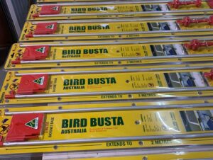 Pic 19 E1702965831987 300x226