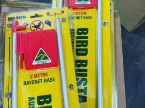 Pic 25 E1702966156344 300x223