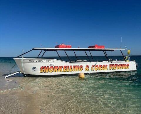 IMG 4054 Rotated E1714213709415